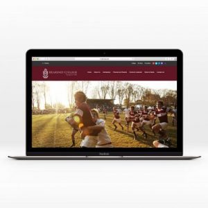 Website Multi Page